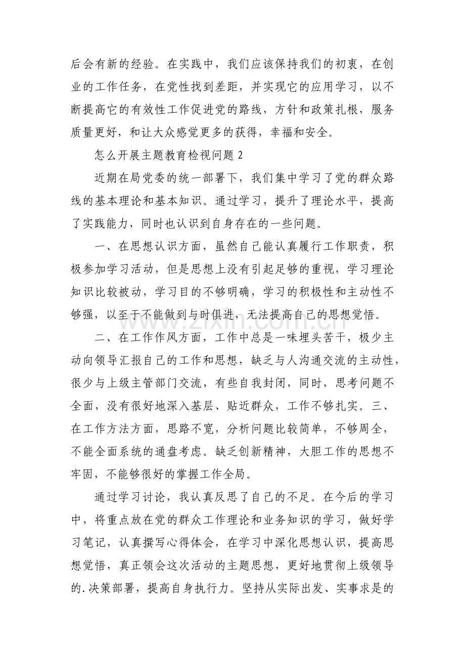 关于怎么开展主题教育检视问题【三篇】.pdf_第2页