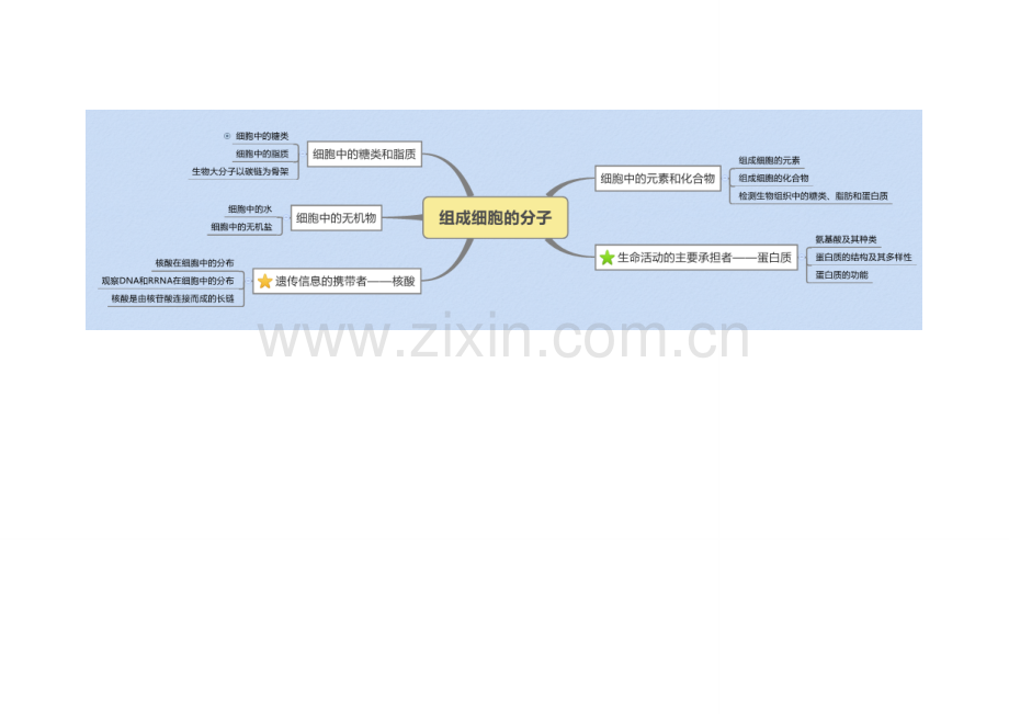 组成细胞的分子知识导图.doc_第1页