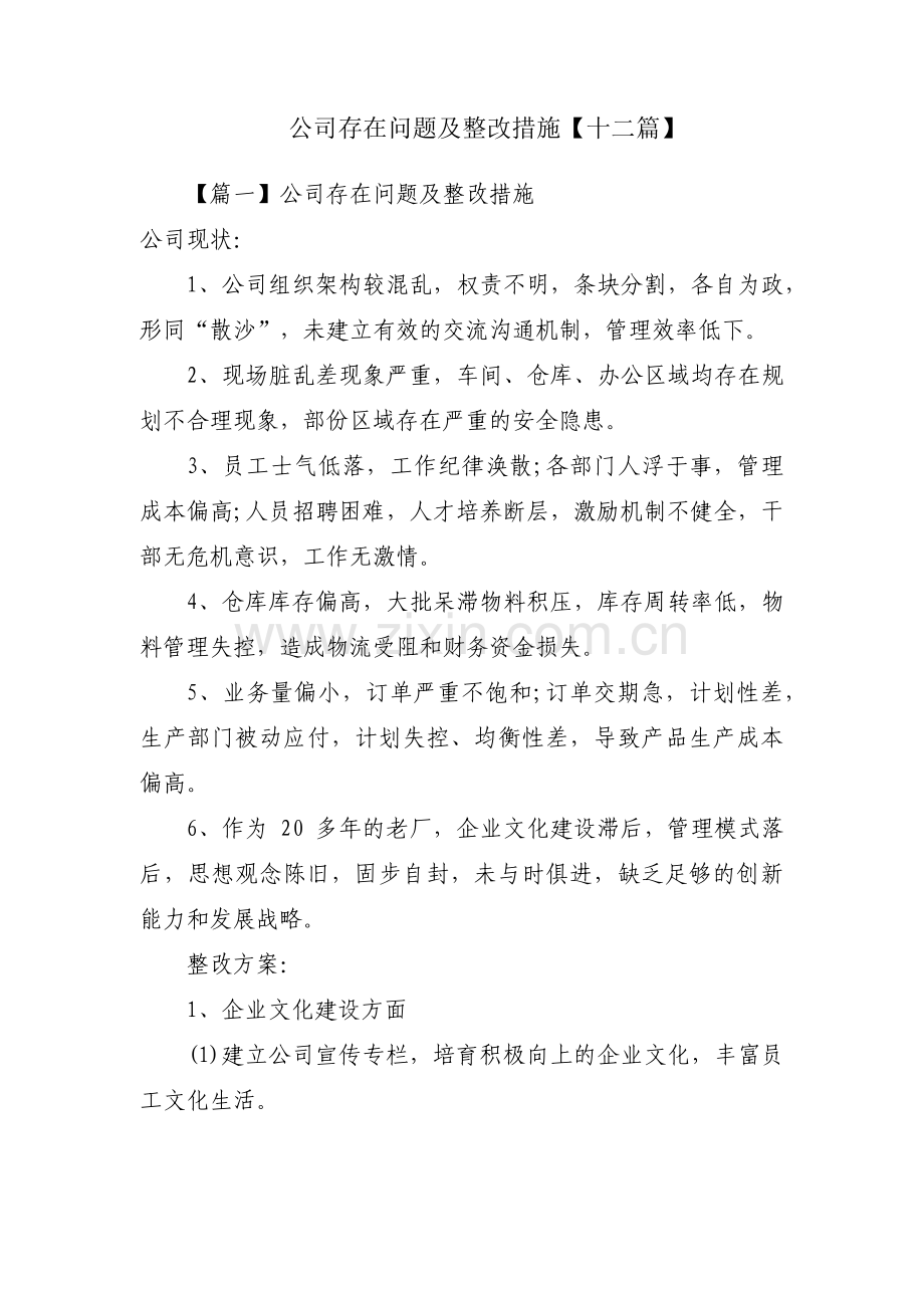 公司存在问题及整改措施【十二篇】.pdf_第1页
