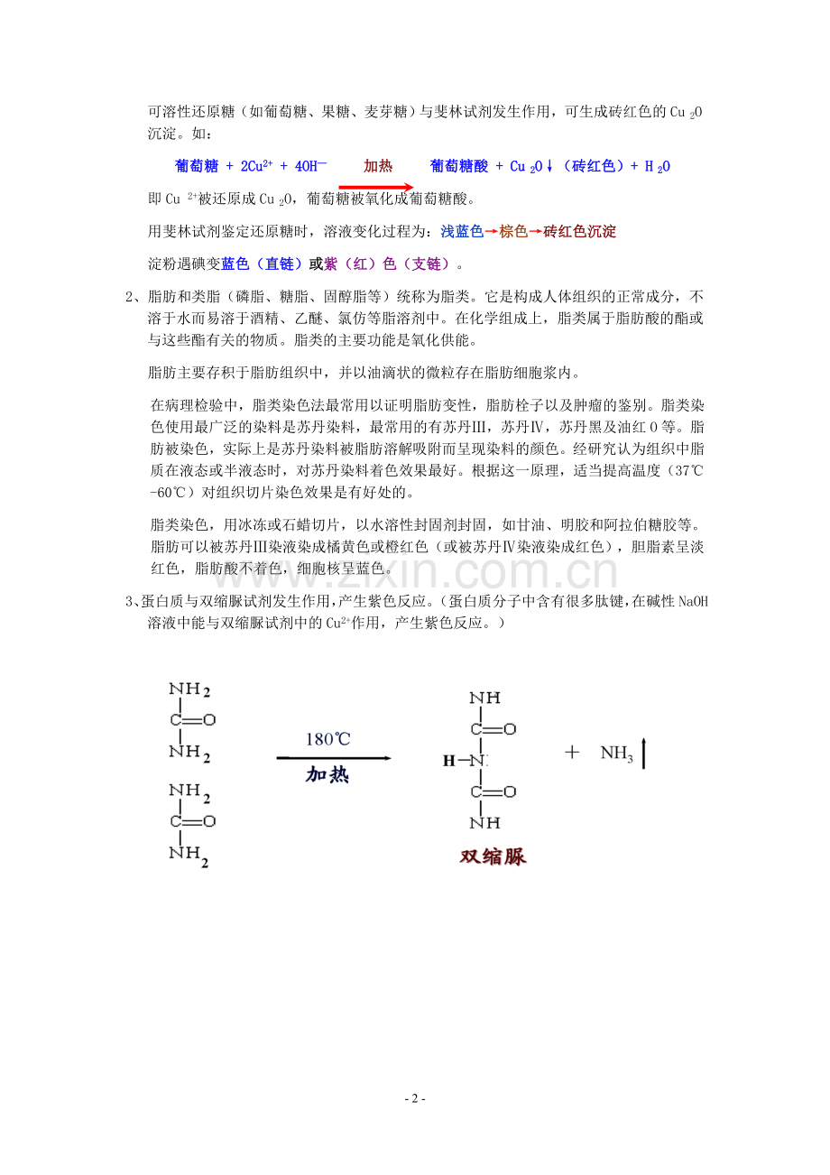 高中生物实验.doc_第2页
