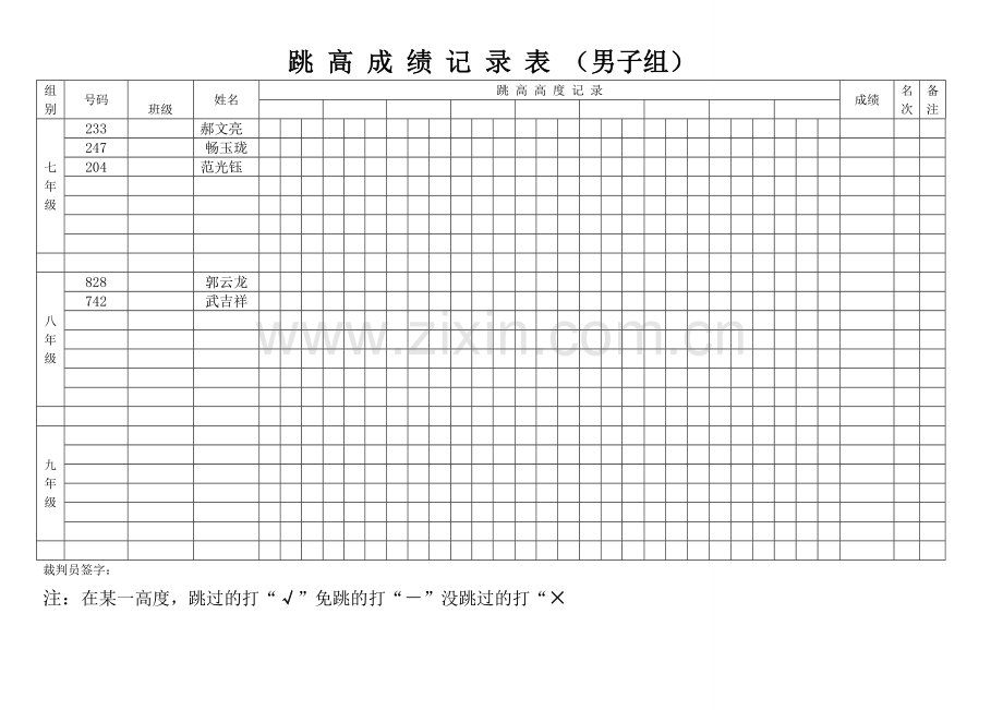 跳_高_成_绩_记_录_表.doc_第2页