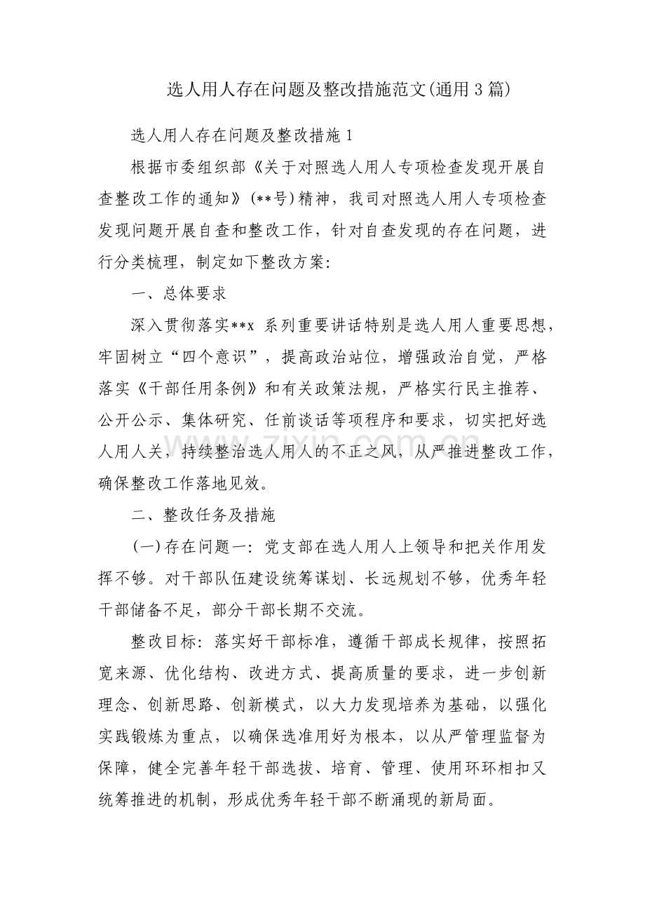 选人用人存在问题及整改措施范文(通用3篇).pdf_第1页