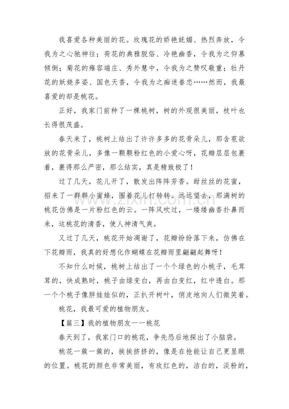 我的植物朋友一一桃花(通用3篇).pdf_第2页