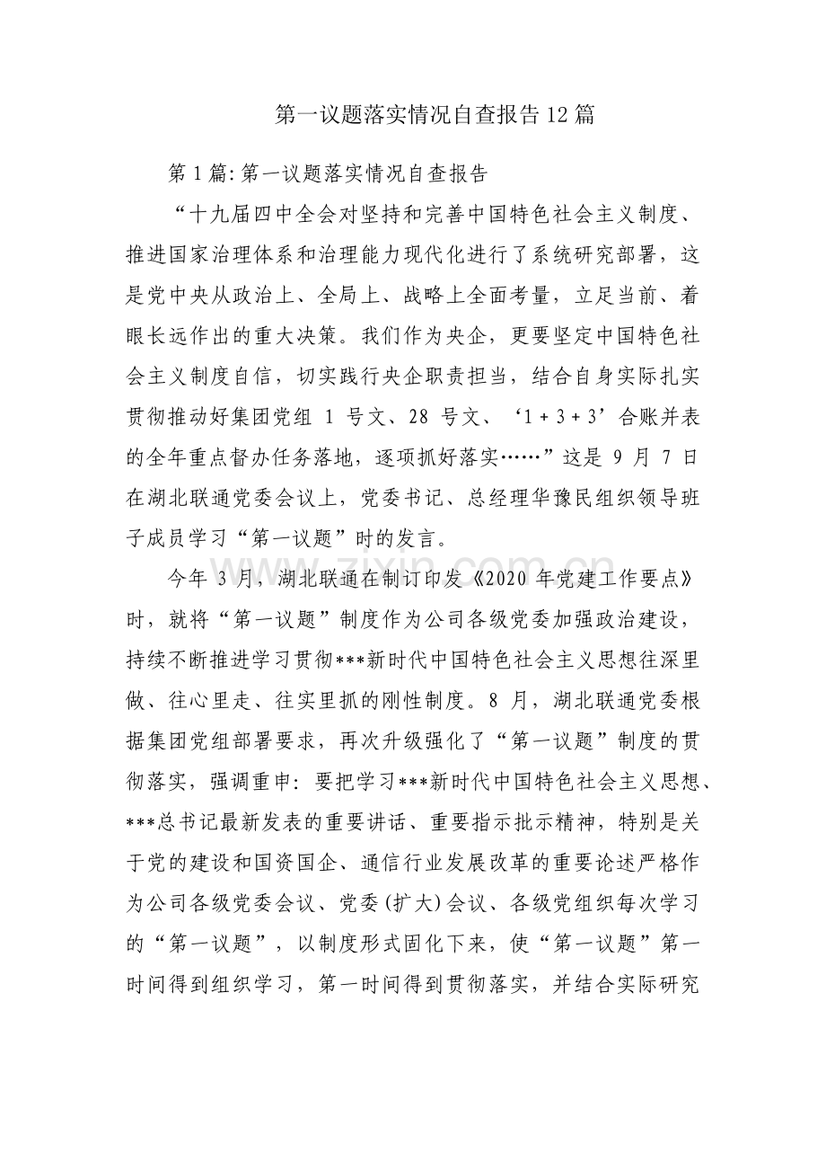 第一议题落实情况自查报告12篇.pdf_第1页