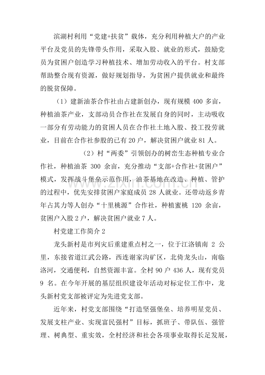 村党建工作简介【4篇】.pdf_第2页