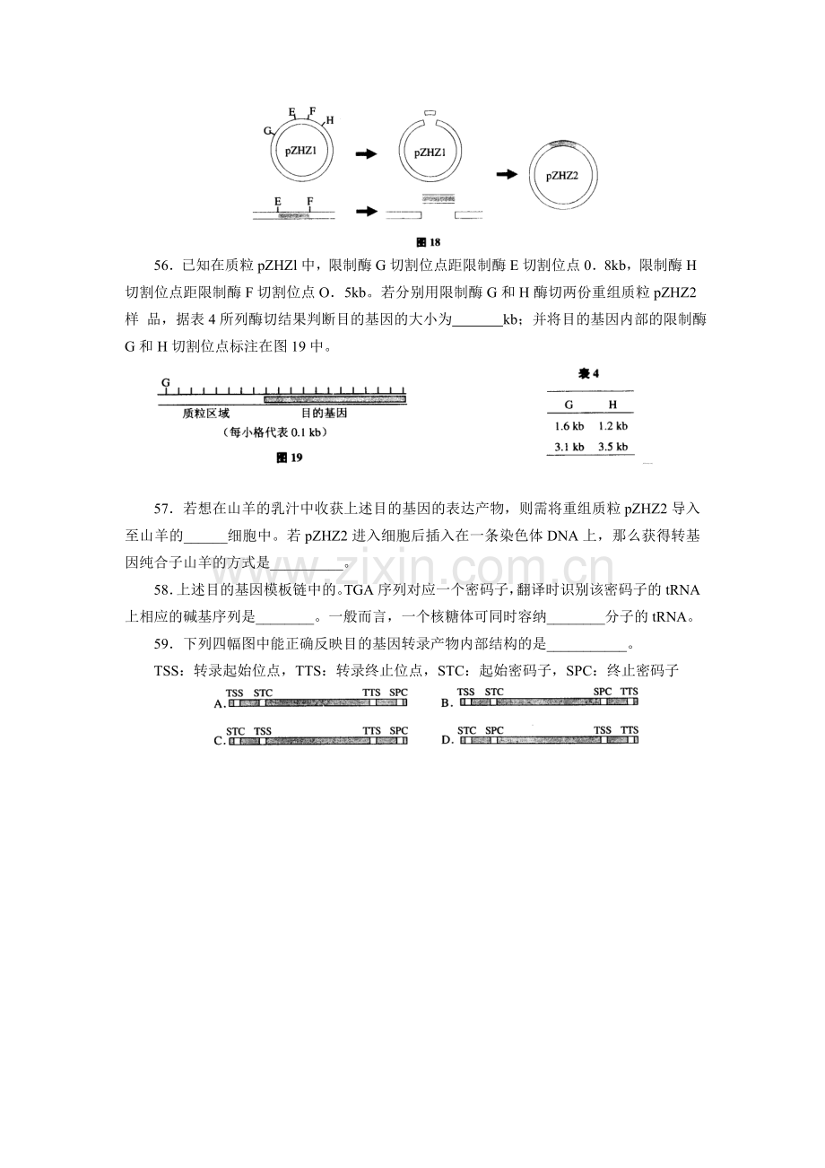 上海高考遗传题整理.doc_第2页
