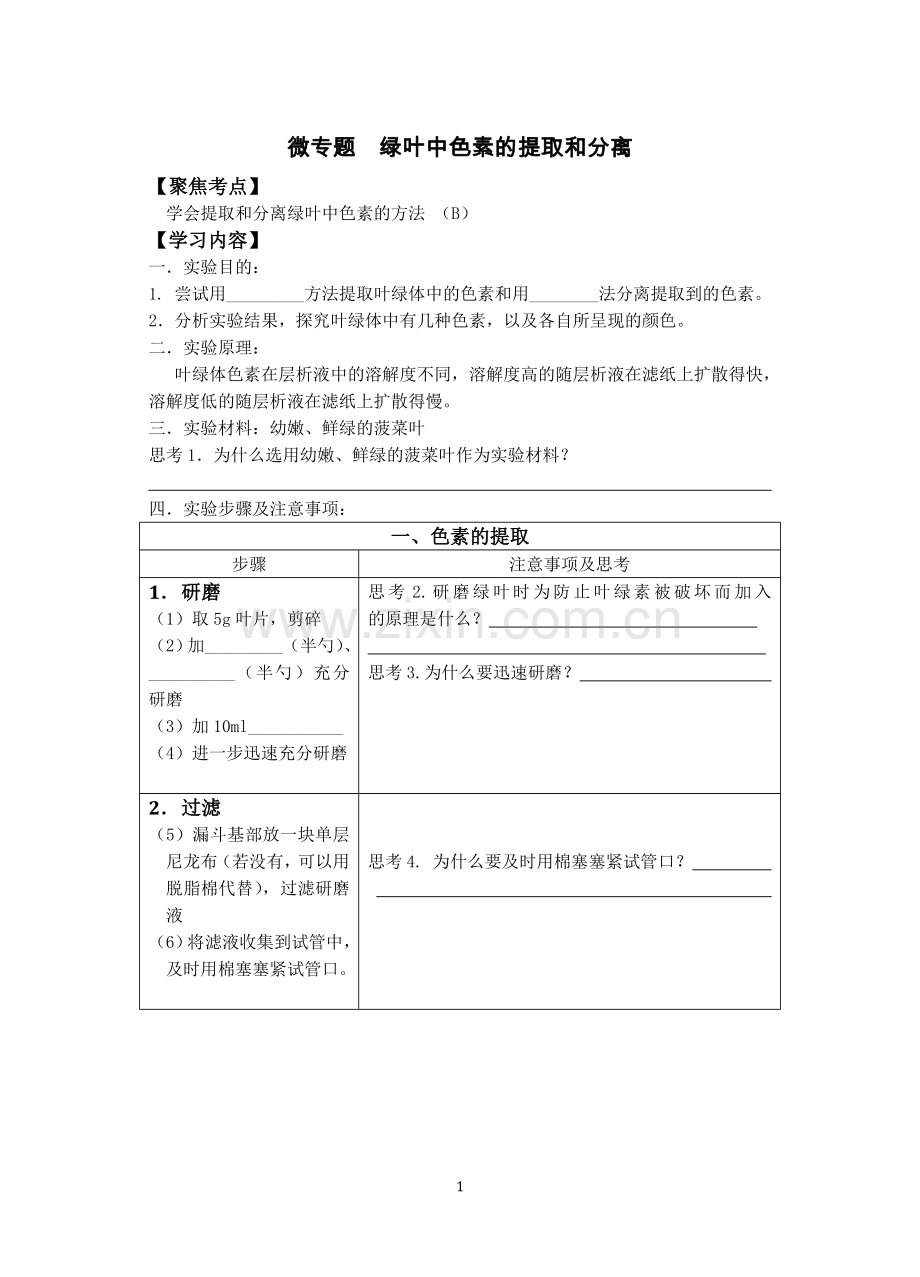 微专题绿叶中色素的提取和分离.doc_第1页