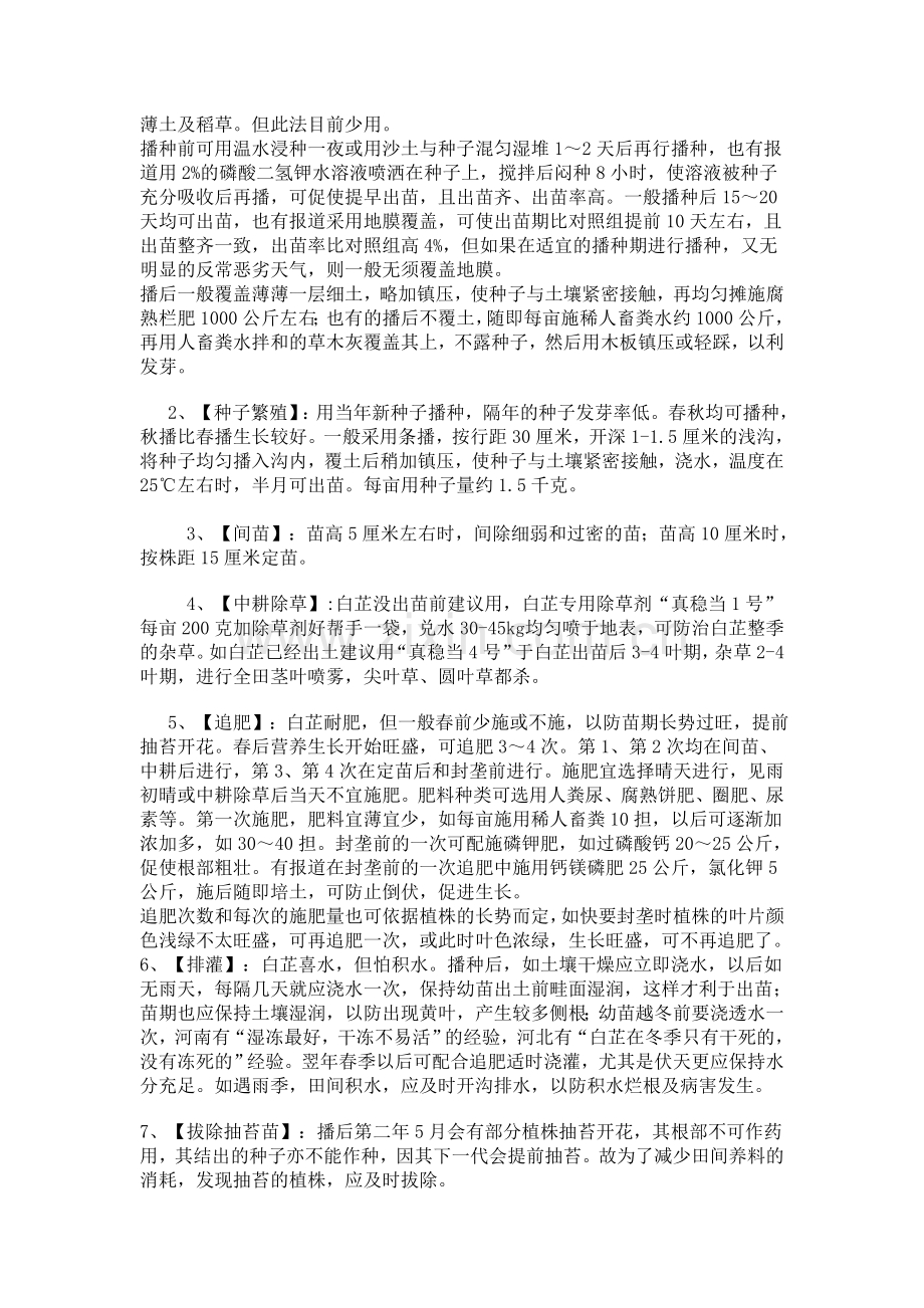 白芷的种植技术.doc_第2页