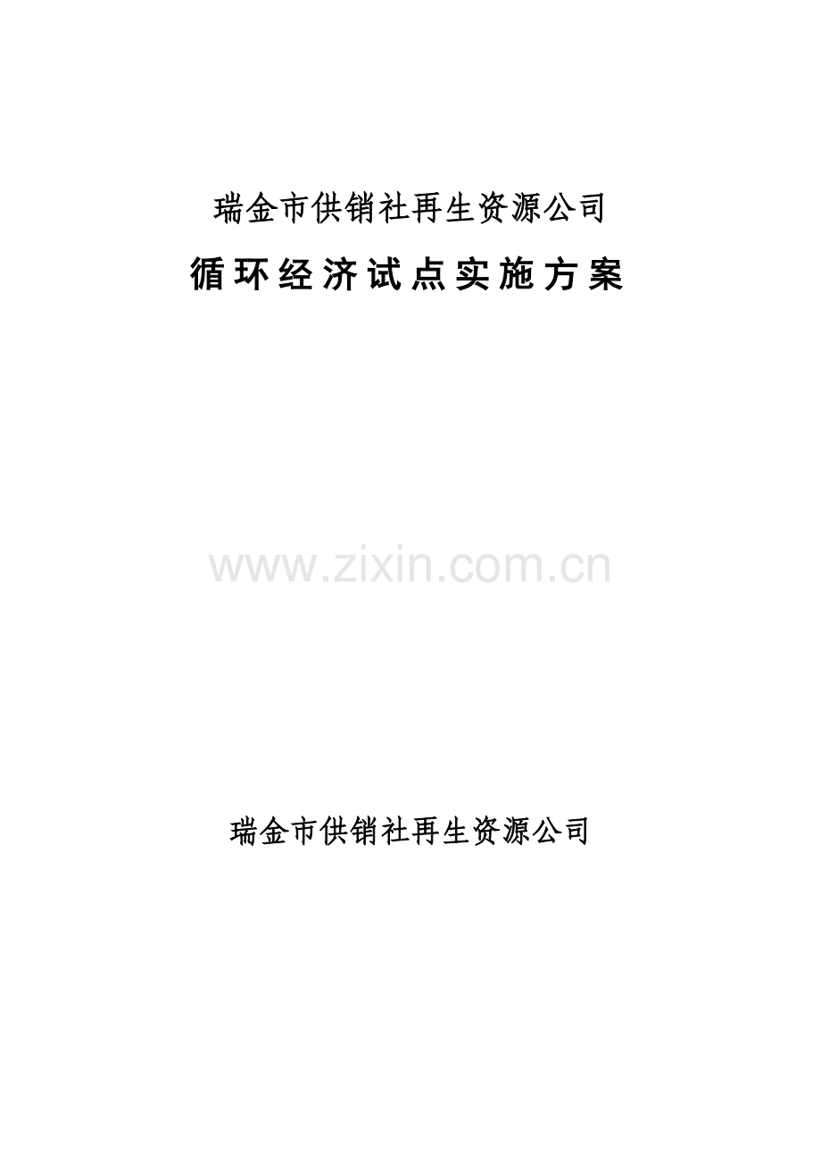瑞金市供销社再生资源公司循环经济试点工作实施方案(2011-2013年).doc_第1页