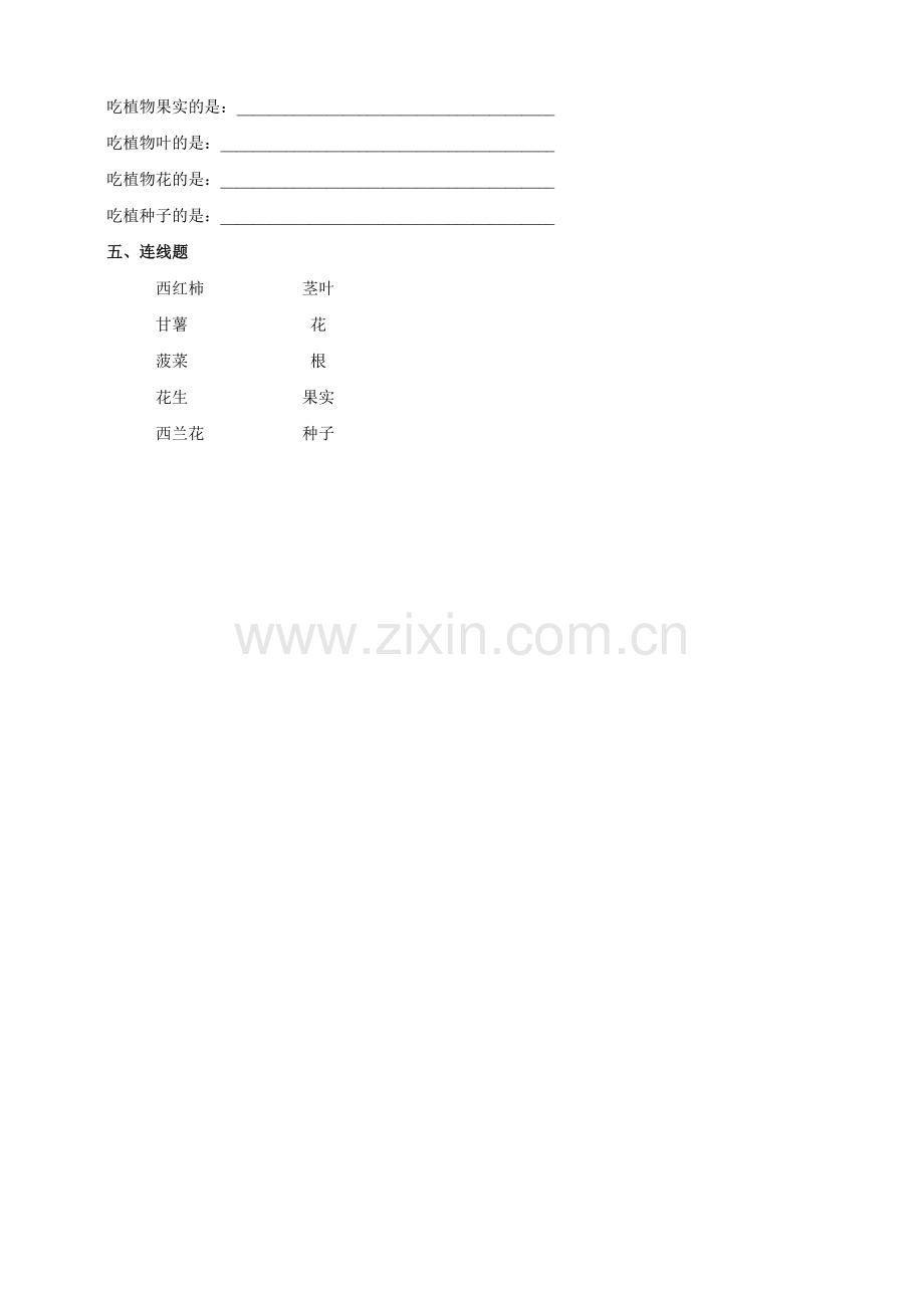 【新教材】苏教版三年级下册《科学》1.4《植物结果了》练习.doc_第2页