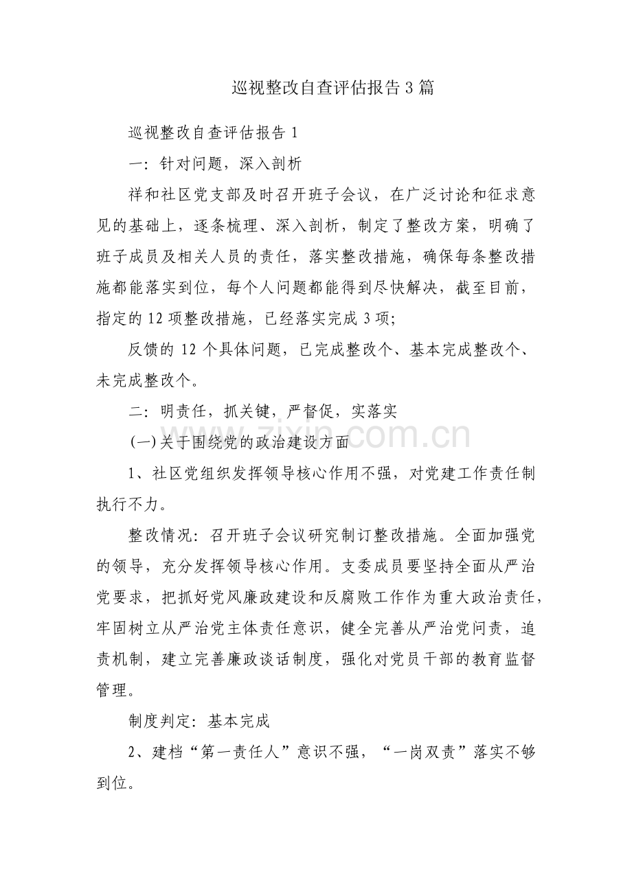 巡视整改自查评估报告3篇.pdf_第1页