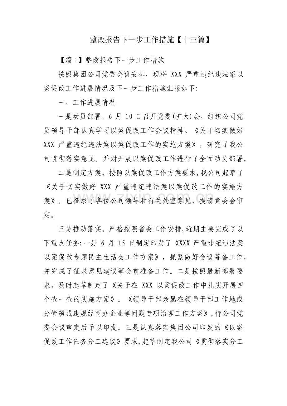 整改报告下一步工作措施【十三篇】.pdf_第1页