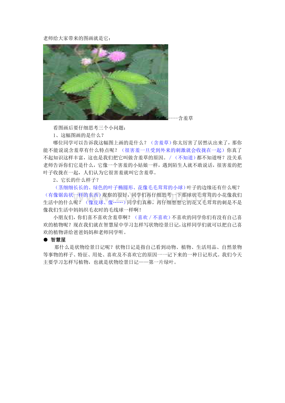 第九讲第一片绿叶.doc_第2页
