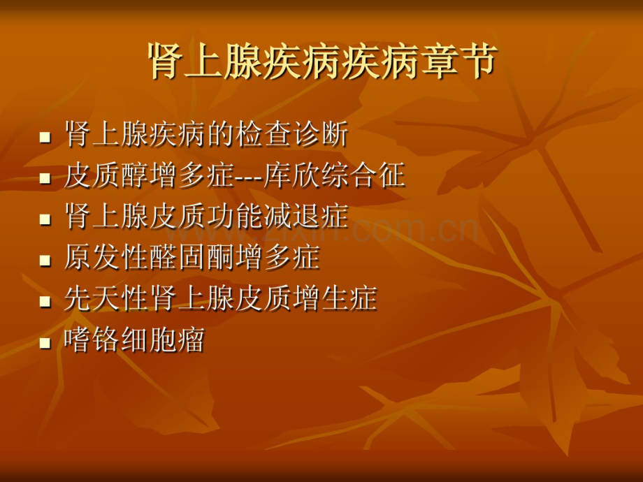 肾上腺疾病的检查诊断.pdf_第2页