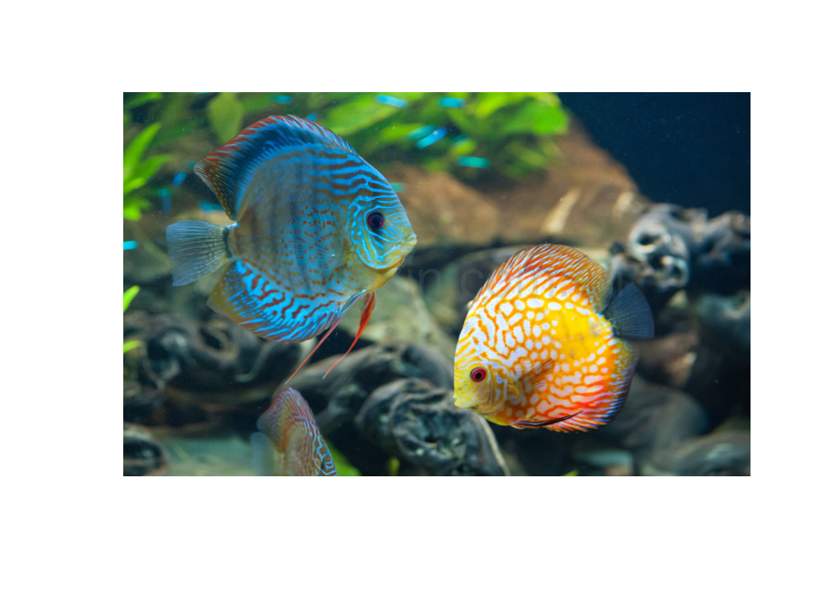 小三观察笔记.doc_第1页