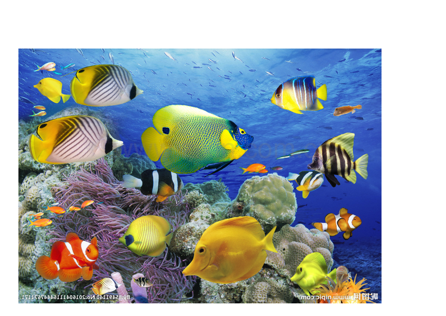 小三观察笔记.doc_第2页