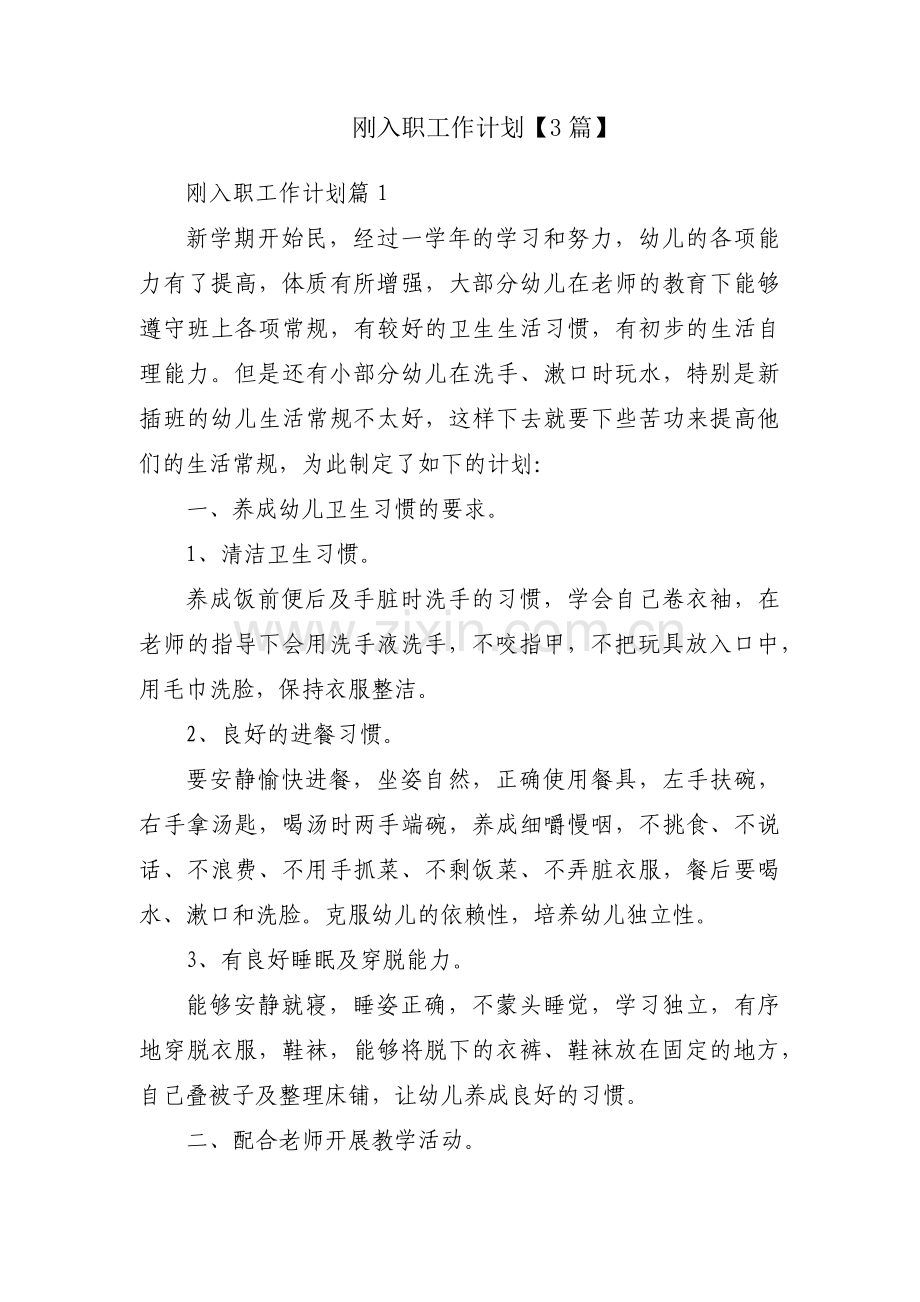 刚入职工作计划【3篇】.pdf_第1页