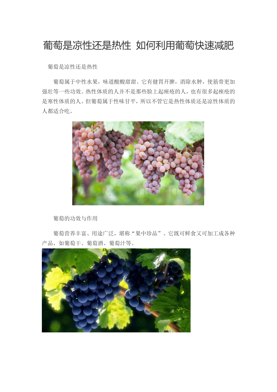 葡萄是凉性还是热性-如何利用葡萄快速减肥.docx_第1页