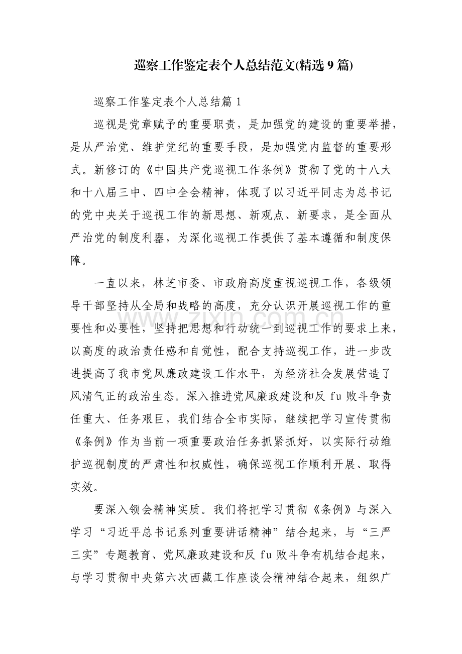 巡察工作鉴定表个人总结范文(9篇).pdf_第1页