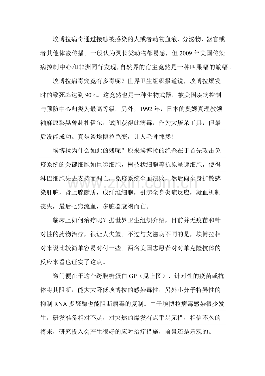埃博拉病毒科普.docx_第2页