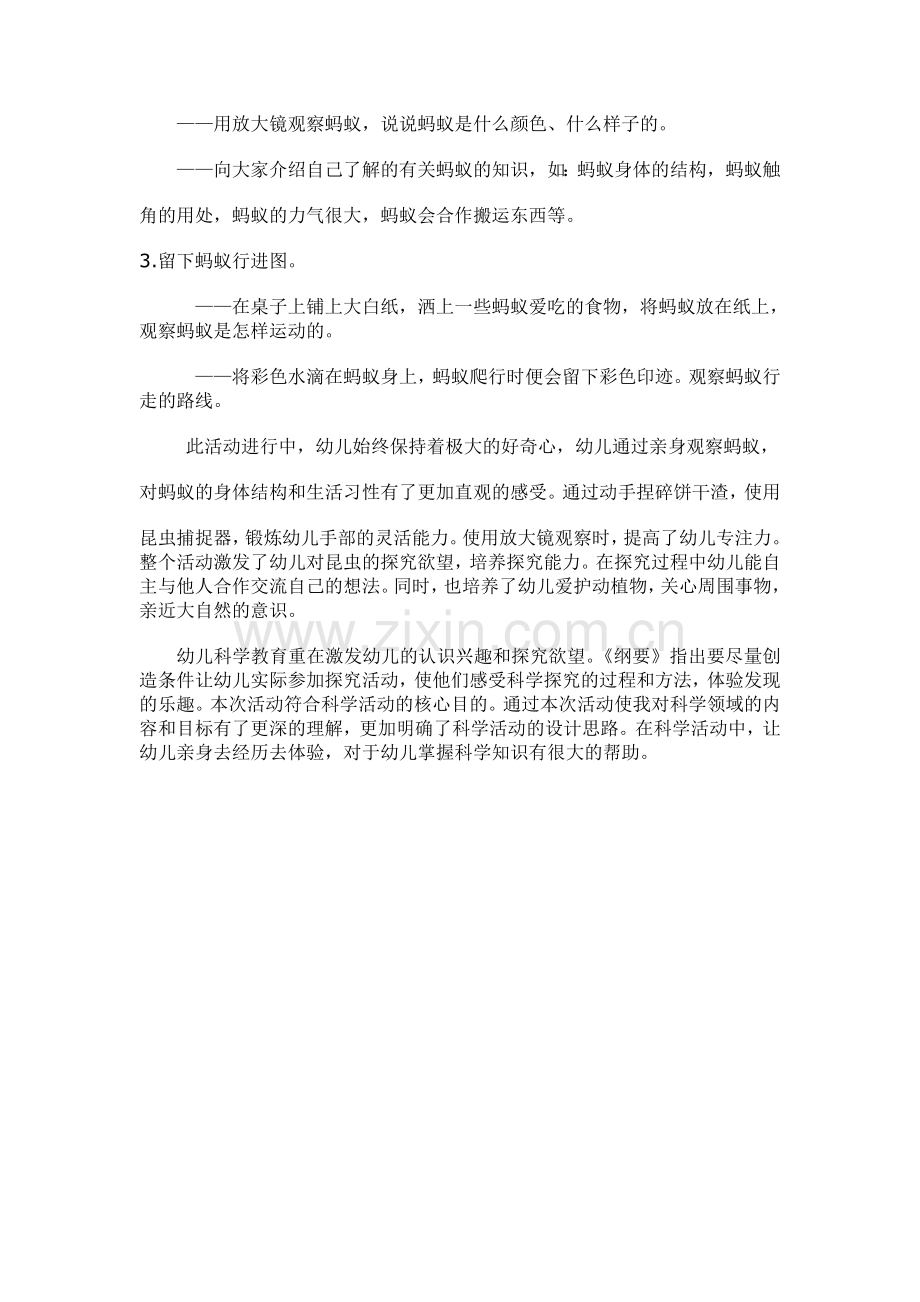 科学研究总结蚂蚁的路线.doc_第2页