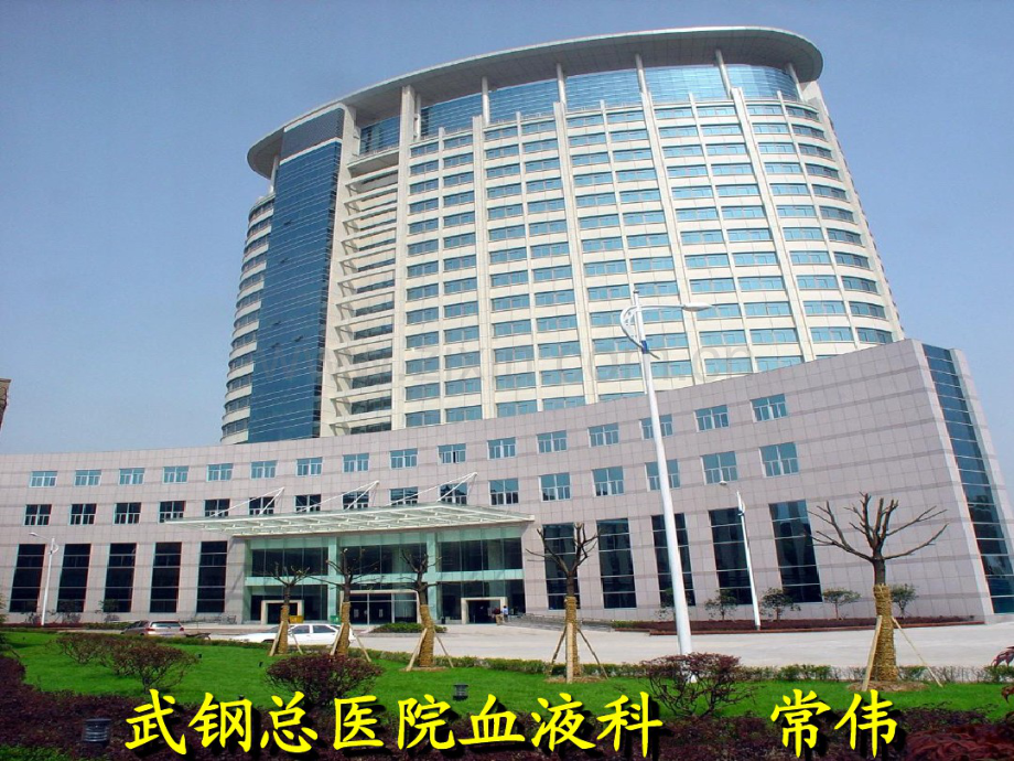 急性粒细胞白血病.pdf_第1页