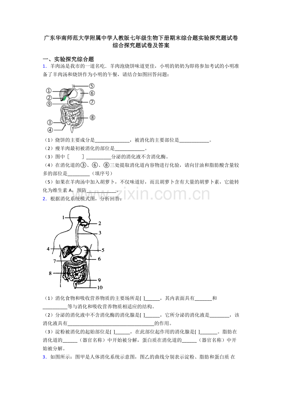 广东华南师范大学附属中学人教版七年级生物下册期末综合题实验探究题试卷综合探究题试卷及答案.doc_第1页