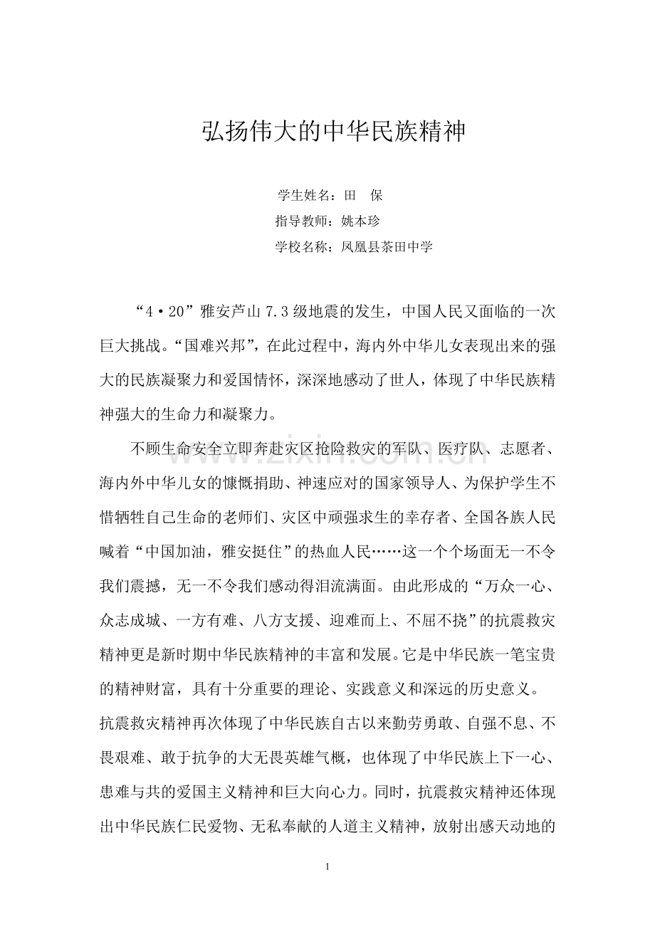 民族精神我弘扬.doc_第1页