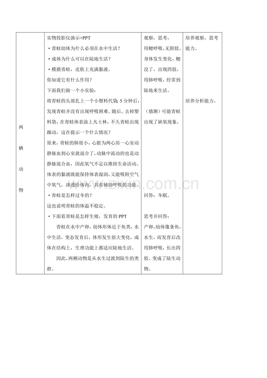 《第七节-两栖类和爬行类》教案.doc_第2页
