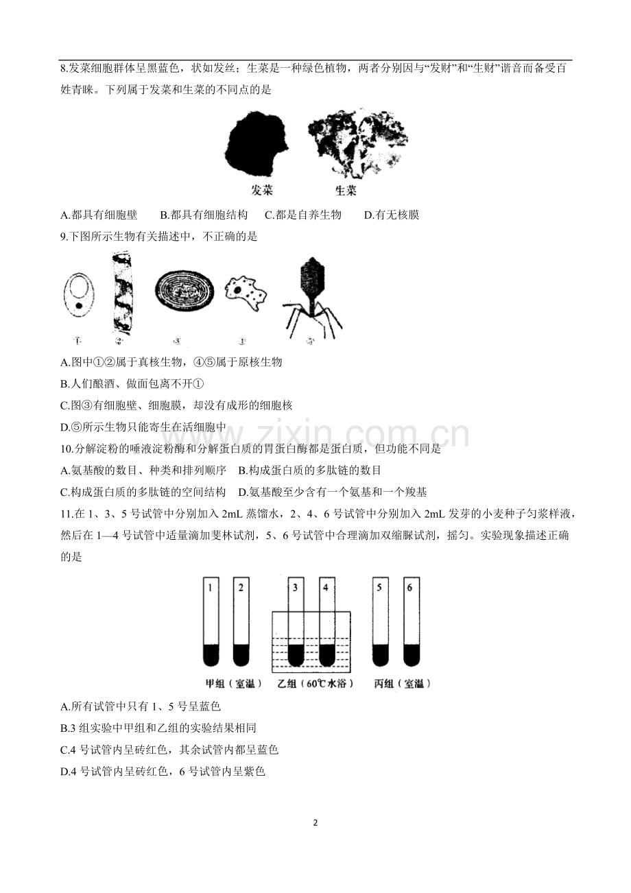 高一重点班生物限时训练（三）.doc_第2页