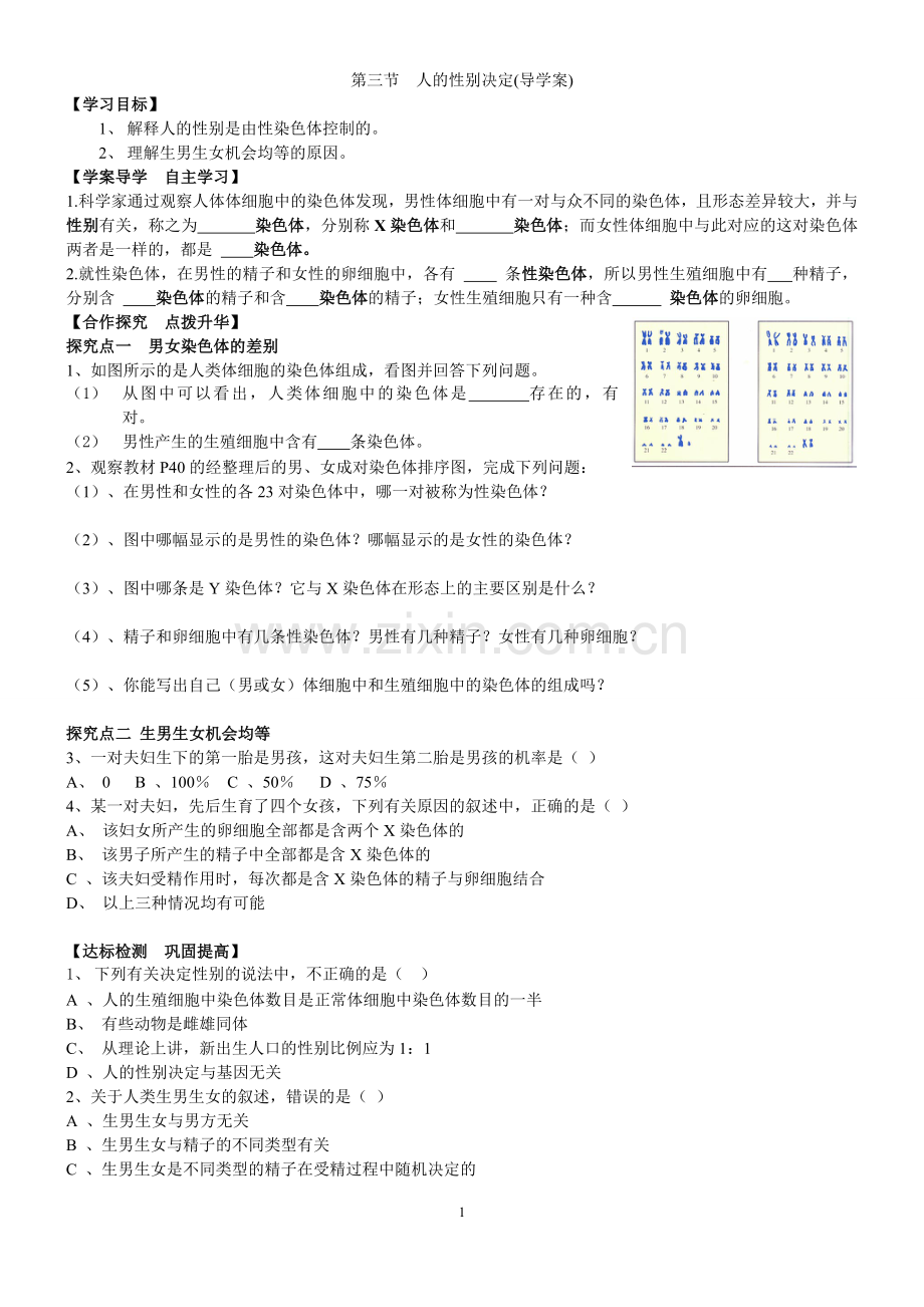 第三节人的性别决定.doc_第1页