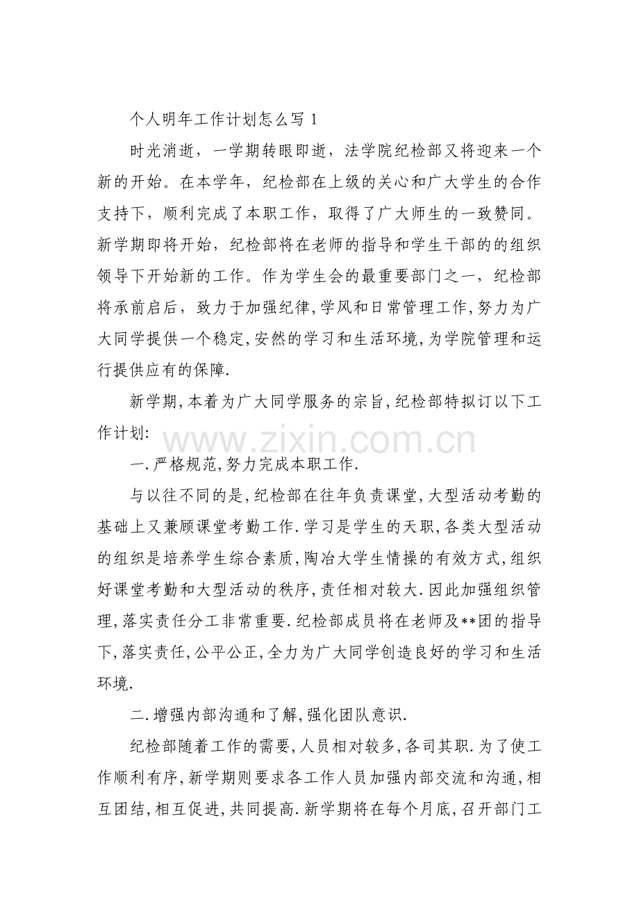 个人明年工作计划怎么写8篇.pdf_第1页