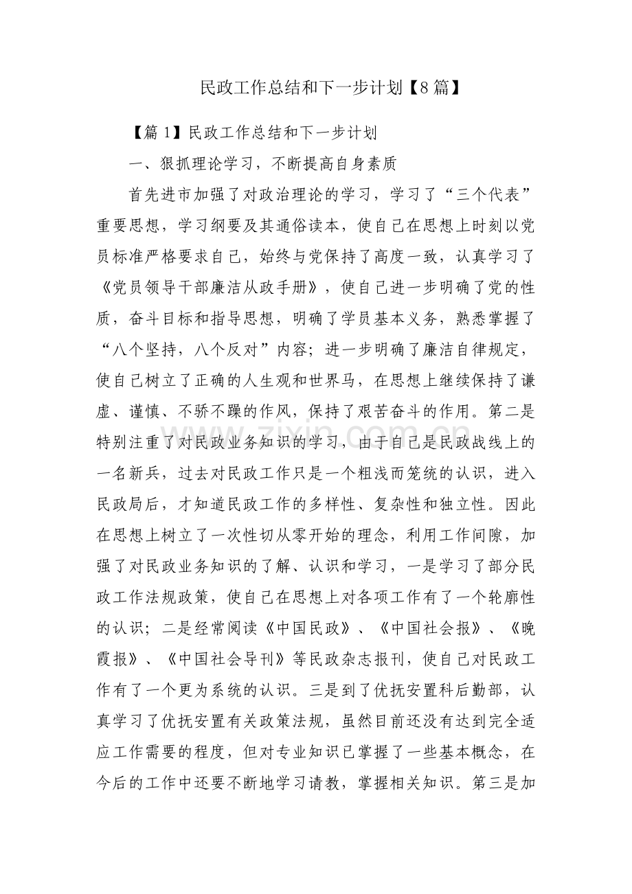 民政工作总结和下一步计划【8篇】.pdf_第1页