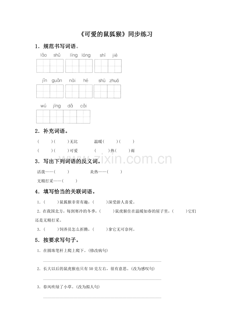 《可爱的鼠狐猴》同步练习.doc_第1页