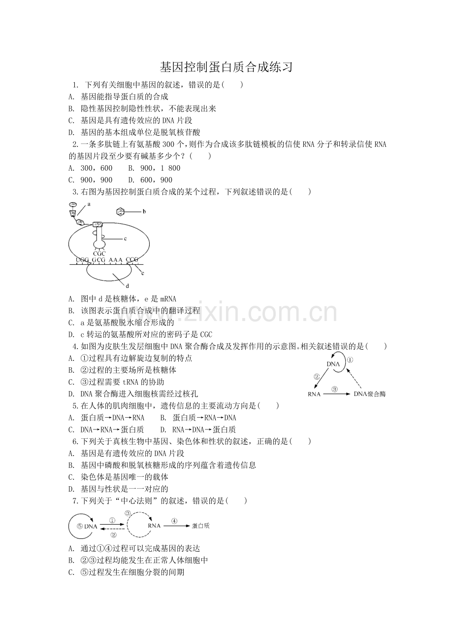 从基因到蛋白质.doc_第1页