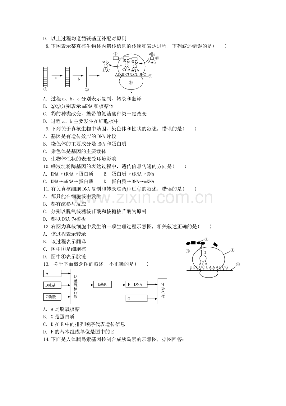 从基因到蛋白质.doc_第2页