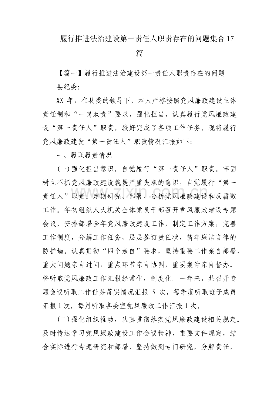履行推进法治建设第一责任人职责存在的问题集合17篇.pdf_第1页