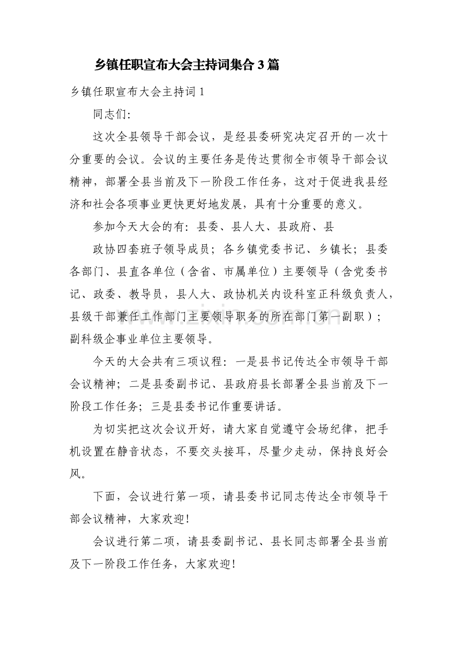 乡镇任职宣布大会主持词集合3篇.pdf_第1页
