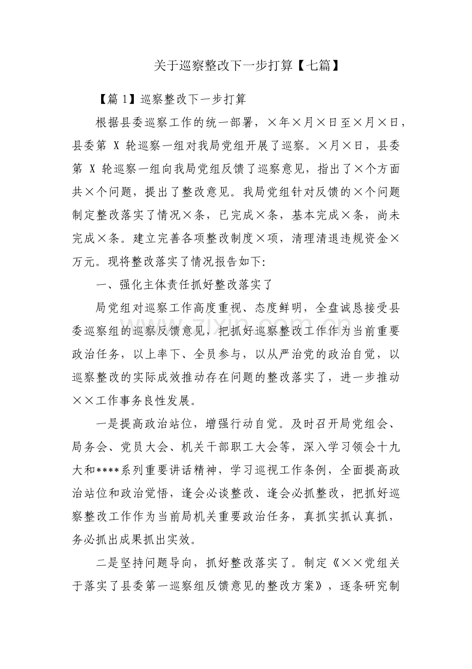 关于巡察整改下一步打算【七篇】.pdf_第1页