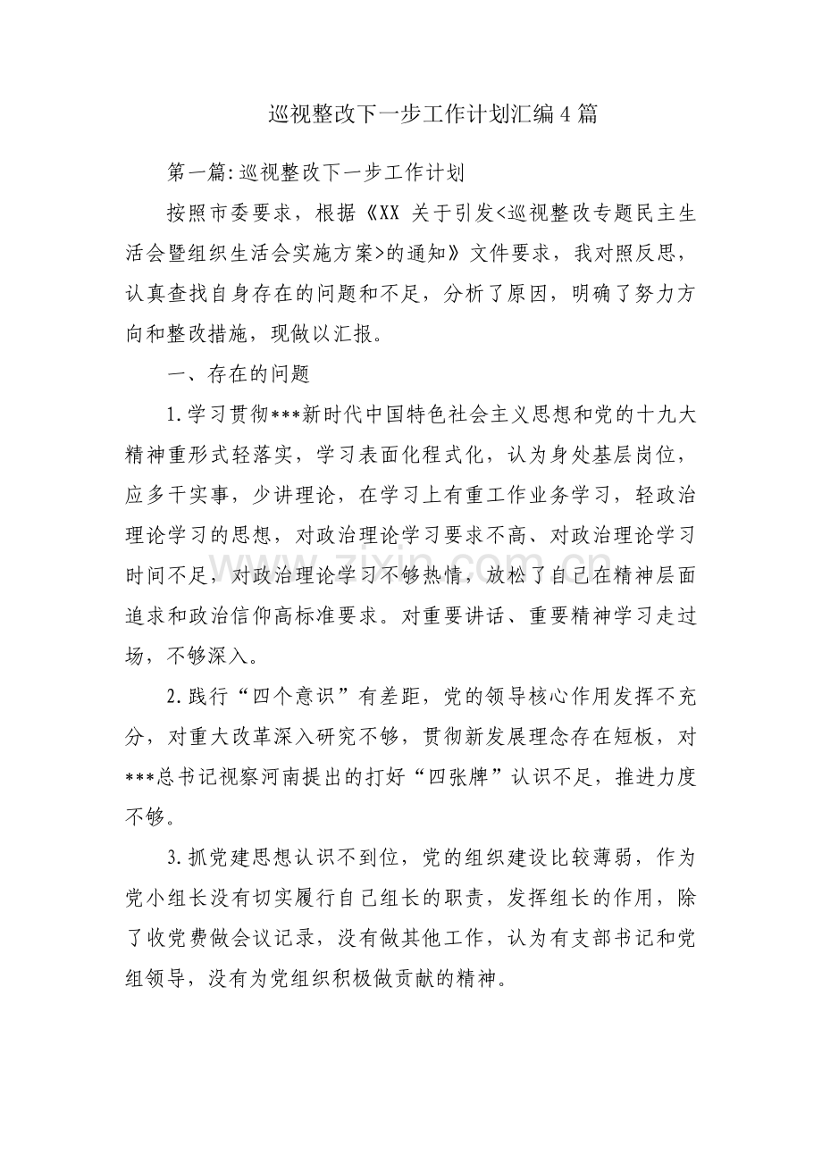 巡视整改下一步工作计划汇编4篇.pdf_第1页