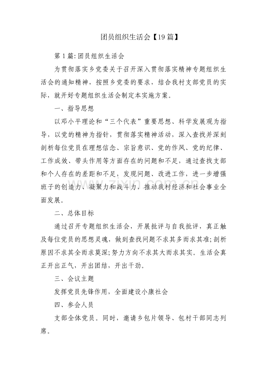 团员组织生活会【19篇】.pdf_第1页