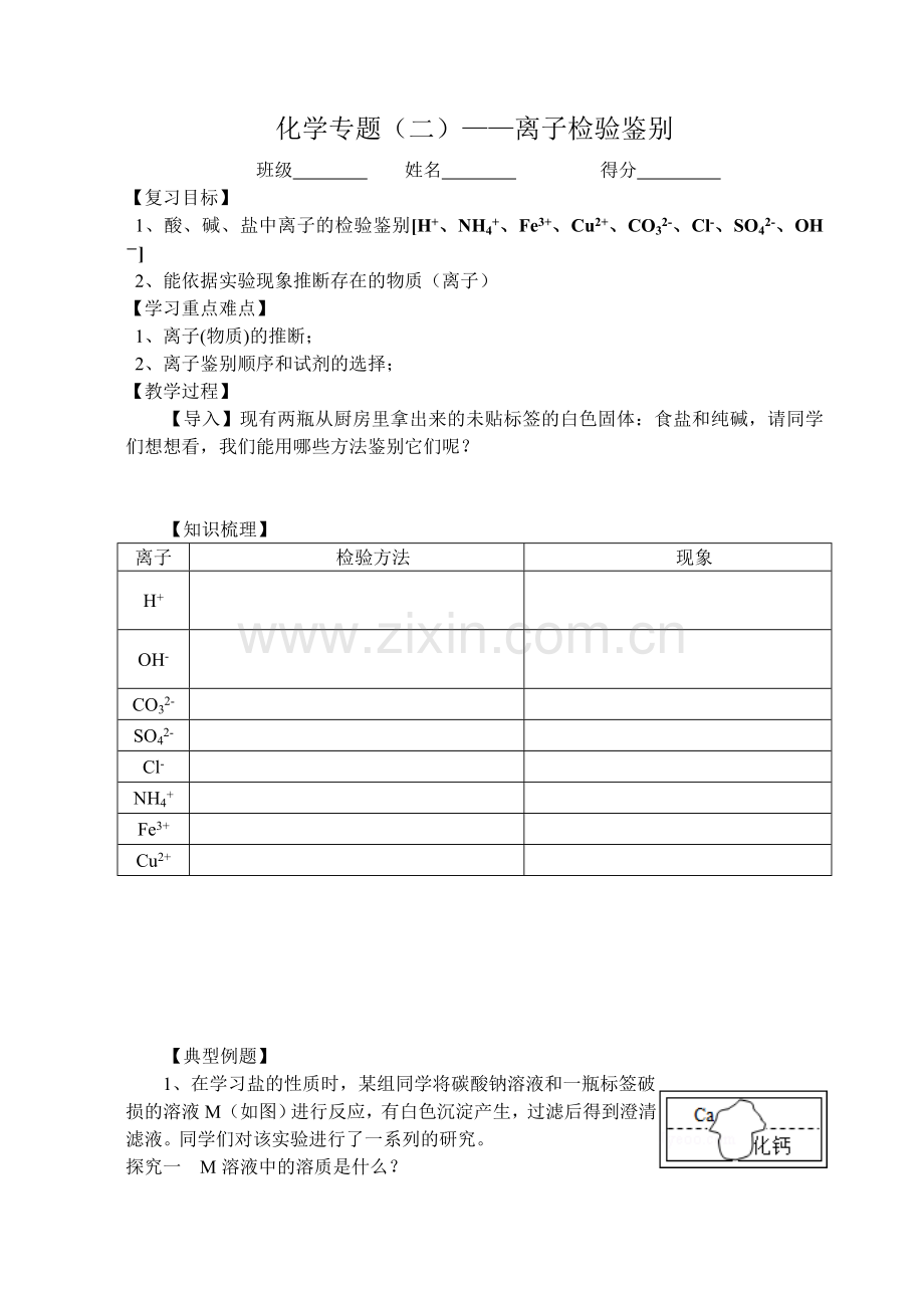 化学专题——离子检验鉴别.doc_第1页