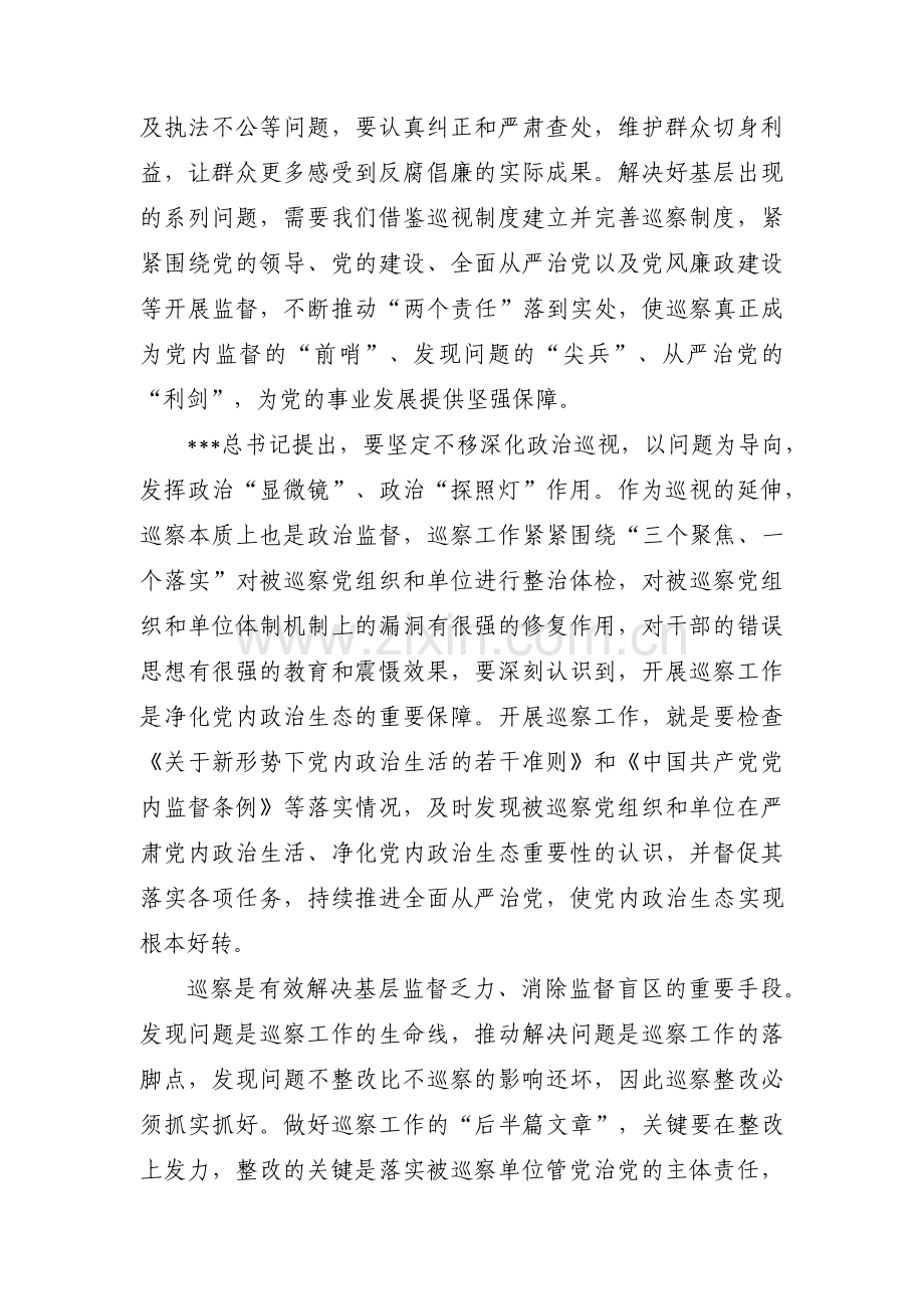 关于深刻认识巡察工作的重要性【八篇】.pdf_第2页