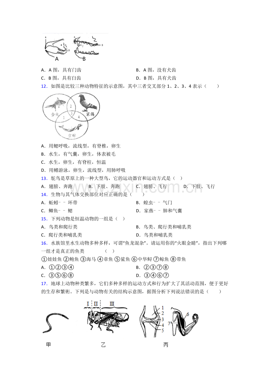 上海市实验学校附属光明学校八年级上册生物期末综合题试卷(带答案).doc_第2页