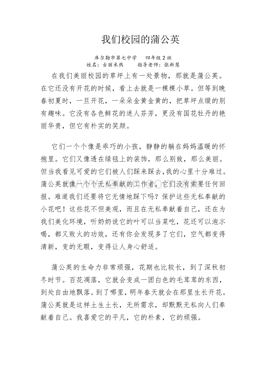 我们校园的蒲公英.doc_第1页