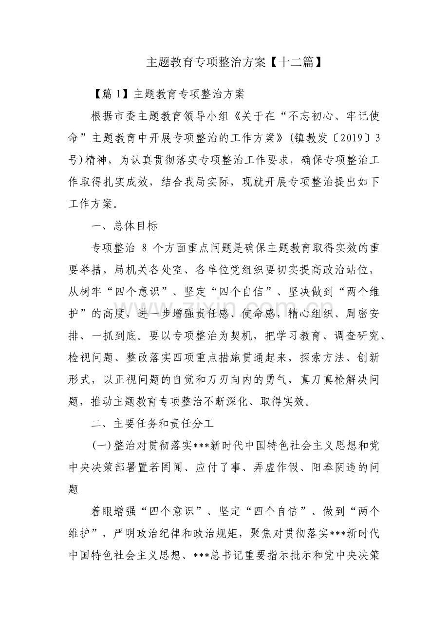 主题教育专项整治方案【十二篇】.pdf_第1页