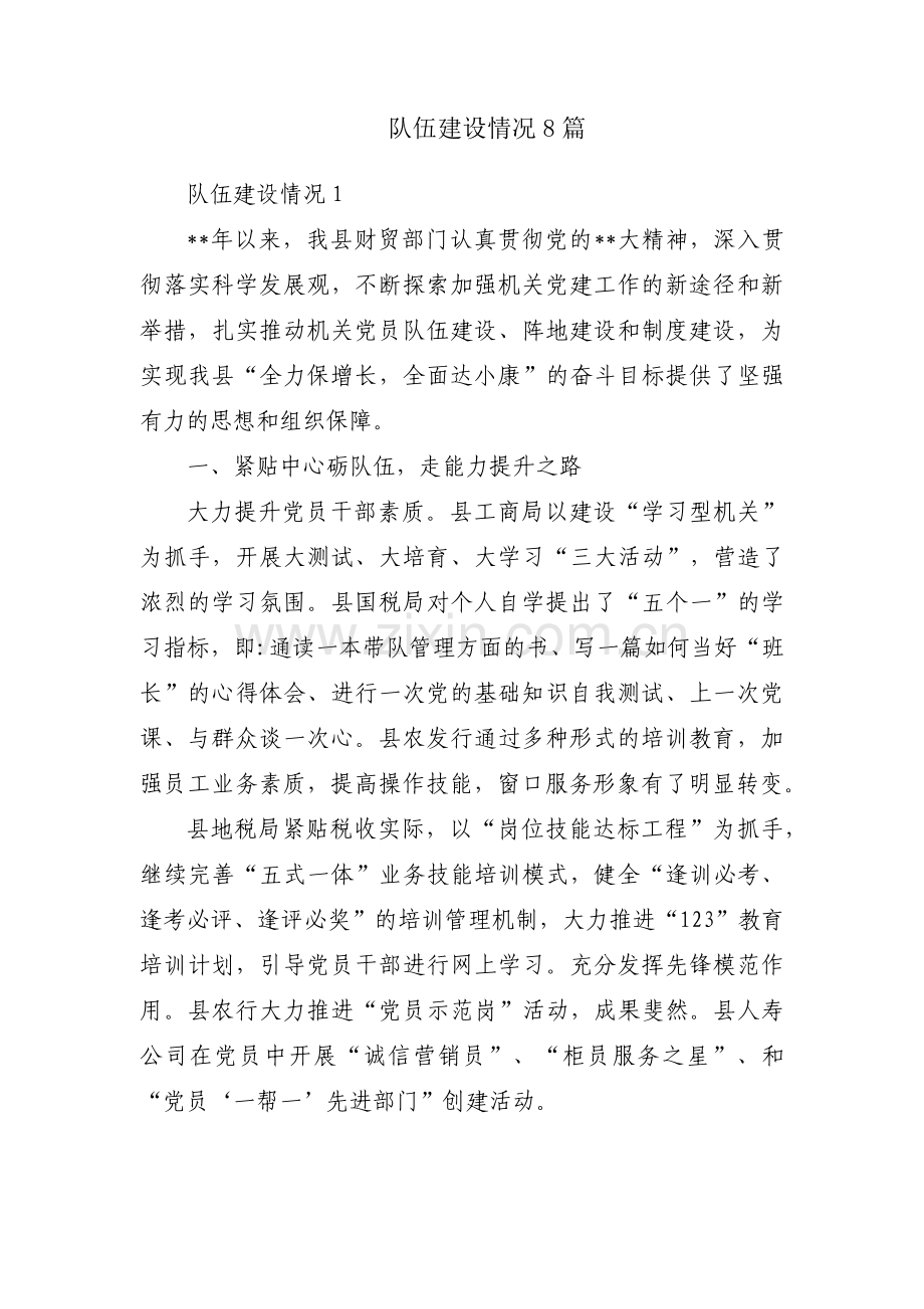 队伍建设情况8篇.pdf_第1页