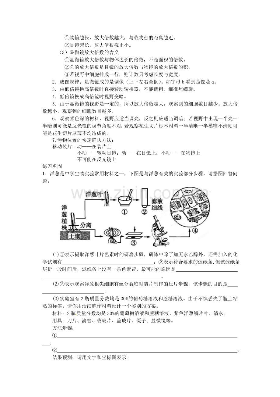实验专题过关练习.doc_第2页