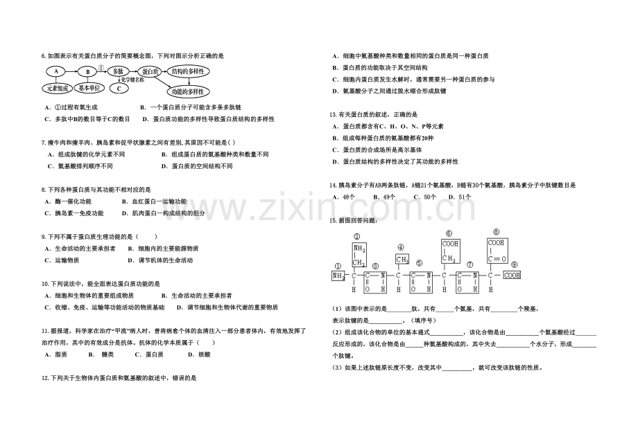 蛋白质复习.doc_第2页