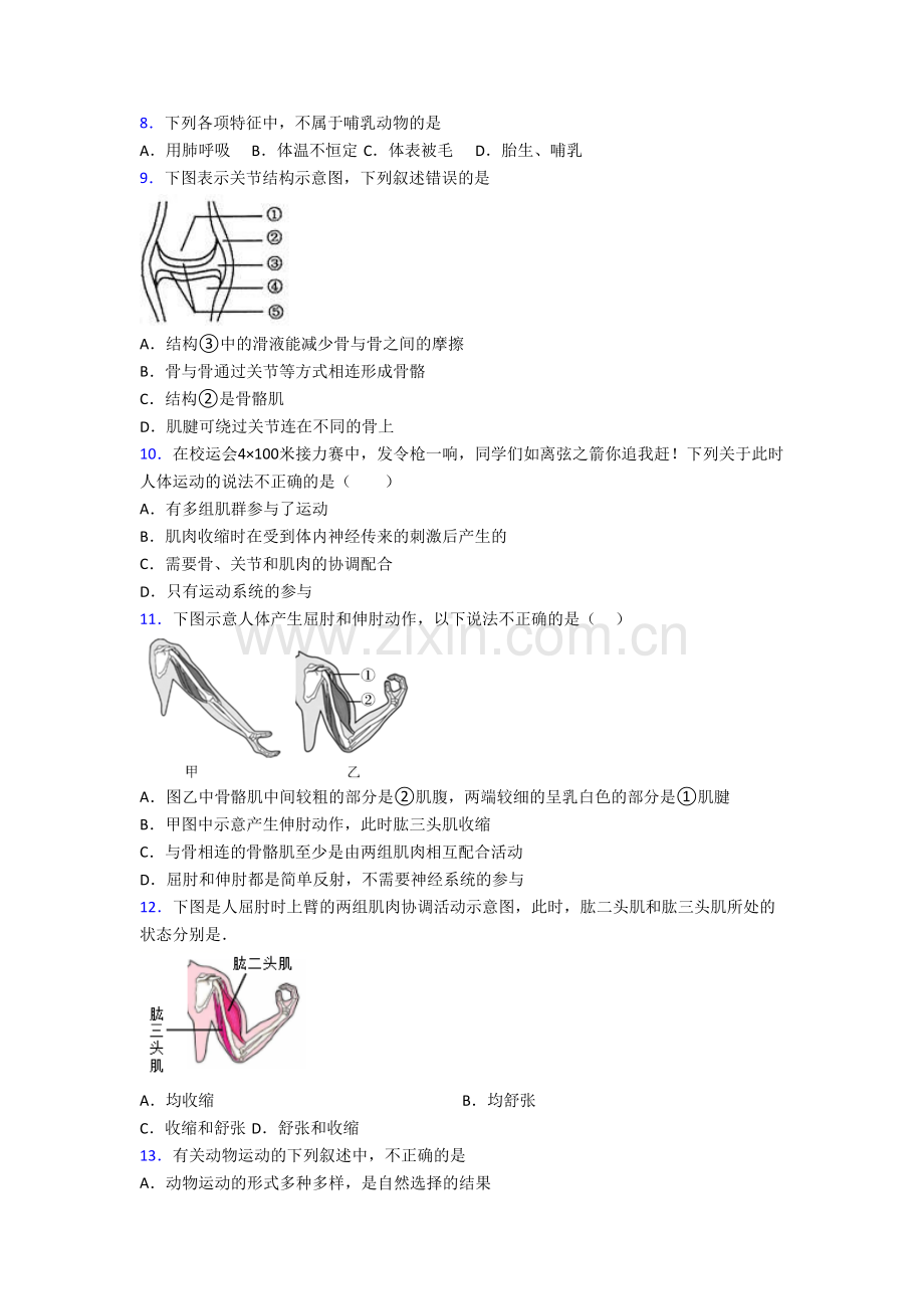 上海金杨中学生物八年级上册期末试卷含答案.doc_第2页